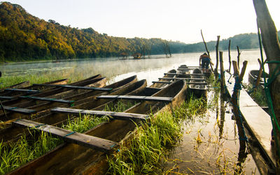 Scenic view of lake