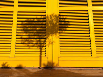 Yellow door,window shutter with reflected shadow of tree. repetition of lines. brown floor .