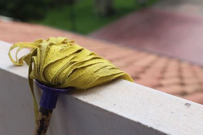 Close-up of mop on retaining wall