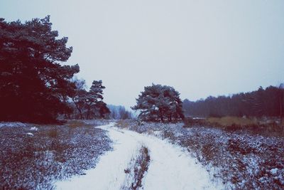 Road passing through field