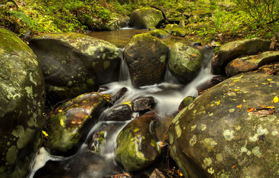 River flowing through rocks