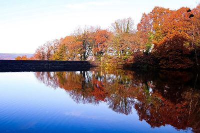 Reflection of trees on lake during autumn