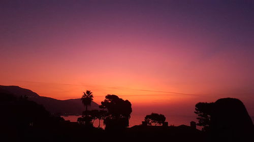 Silhouette trees against sky during sunset