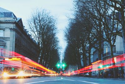 Light trails on street amidst bare trees in city