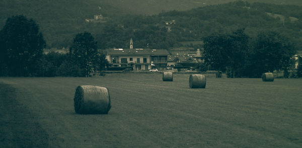 Hay bales on field against trees and buildings