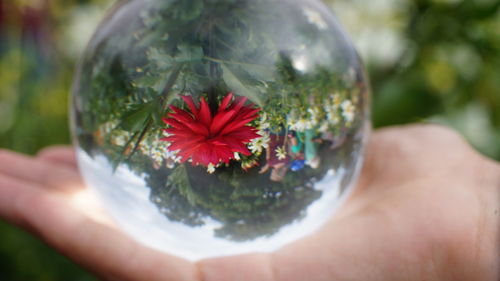 Close-up of hand holding bubbles