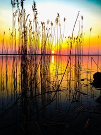 Scenic view of sea at sunset