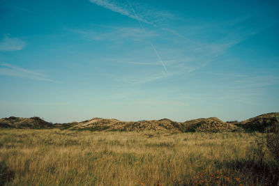 North german dune landscape on with meadow in sunlight