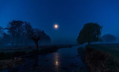 Silhouette trees on landscape against blue sky at night