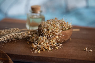 Close-up of food on cutting board