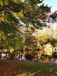 Trees by lake against sky during autumn