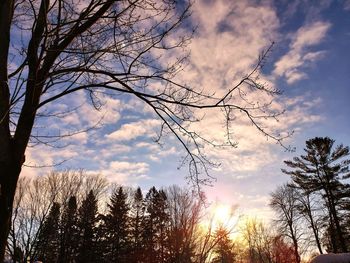 Low angle view of silhouette trees against sky at sunset