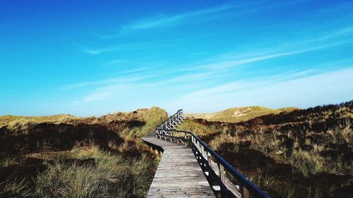 Boardwalk amidst plants against sky