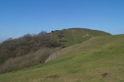 Scenic view of landscape against clear blue sky