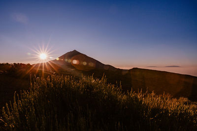 Scenic view of field against sky during sunset