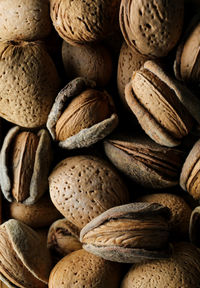 Almonds in shell, in close up, textured