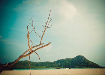 Scenic view of landscape against cloudy sky