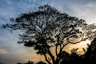 Low angle view of silhouette tree against sky at sunset