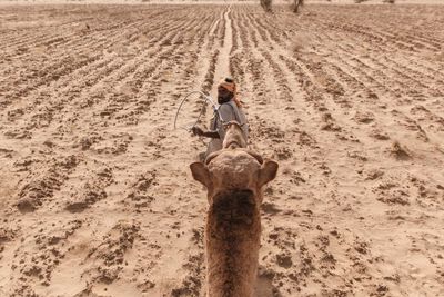Full length of man standing on sand