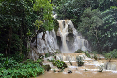 Waterfall in forest