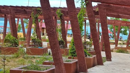 Potted plants by old building against sky