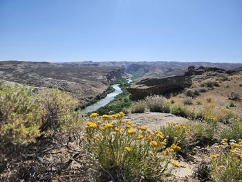 Scenic view of landscape against clear blue sky