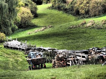 Empty bench on grassy field