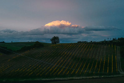 Agricultural field against sky during sunset