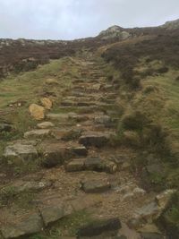 Rocks on landscape