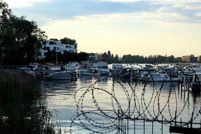 Sailboats in city at sunset
