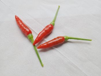 chili pepper