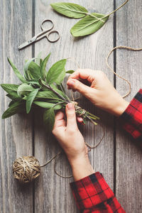 Cropped hands of woman holding plant