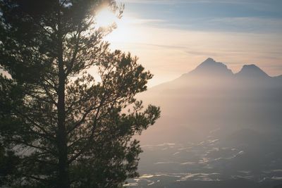 Silhouette tree on mountain against sky during sunset