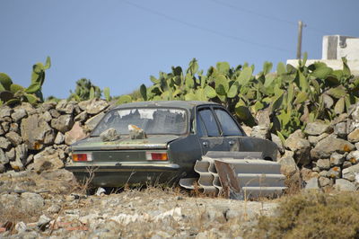 Old green car infront of a wall