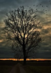 Scenic view of landscape against cloudy sky