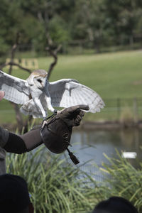 Close-up of hand holding statue against lake