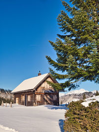 Building by trees against blue sky during winter