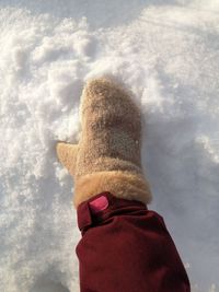 Cropped hand of person wearing mitten 