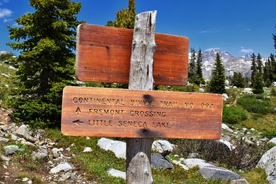 Information sign on tree against sky