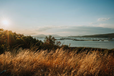 Beautiful landscape adventure inspiring view on lake in sunset