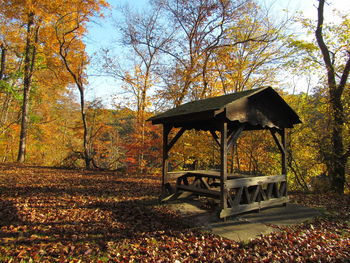 Bench in park during autumn