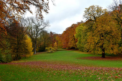 Scenic view of park during autumn