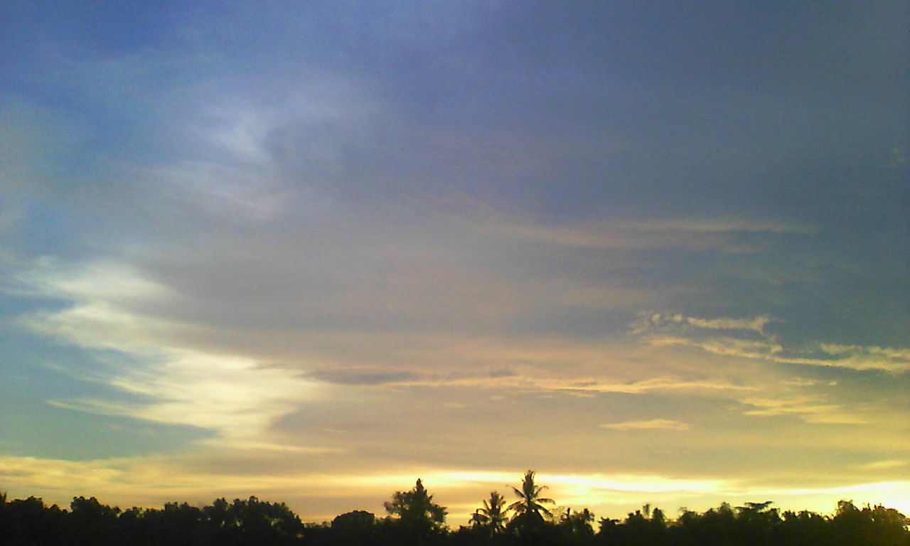 sunset, sky, tree, silhouette, beauty in nature, scenics, tranquility, tranquil scene, cloud - sky, nature, low angle view, orange color, cloud, idyllic, growth, dramatic sky, cloudy, outdoors, no people, moody sky