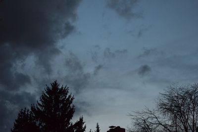 Low angle view of silhouette trees against sky