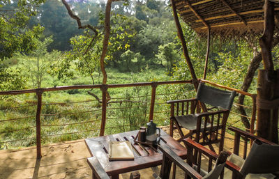 Empty chairs and table against trees in forest