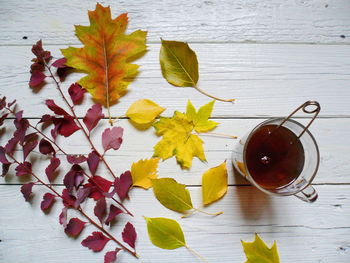 High angle view of maple leaves on table