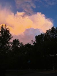 Trees against sky during sunset