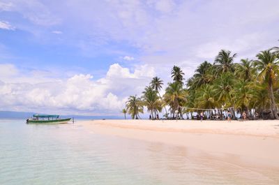 Scenic view of palm trees on beach against sky