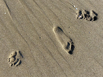 High angle view of footprints on wet sand