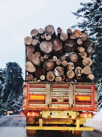 Stack of logs in snow